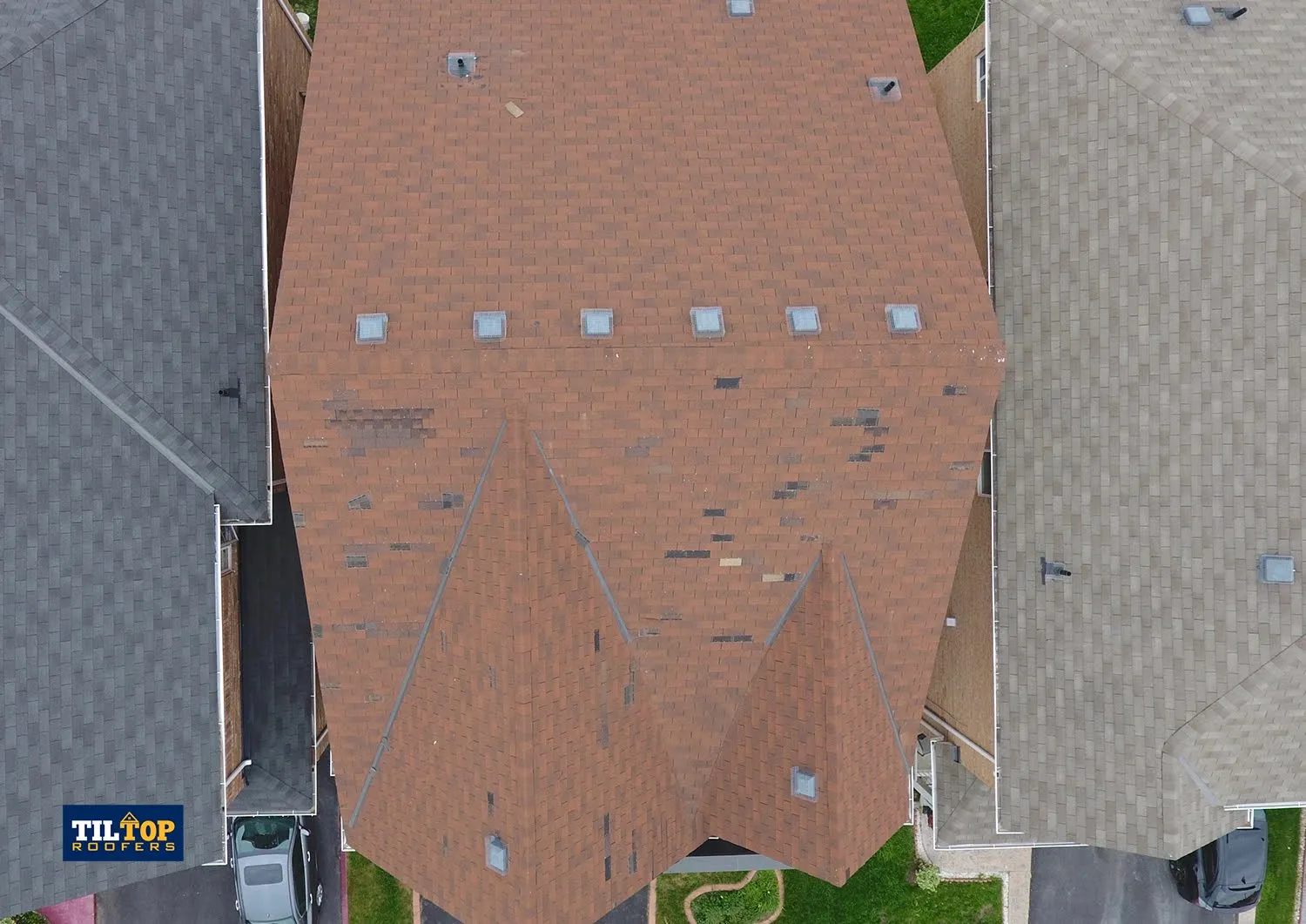animal damage missing shingles wind storm